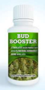 budboost