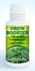 growboost